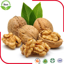 Inshell Walnuts, Shelled Walnuts, Light Walnut Meal